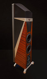 V Loudspeaker System
